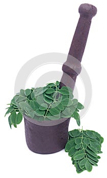 Edible moringa leaves in a vintage mortar