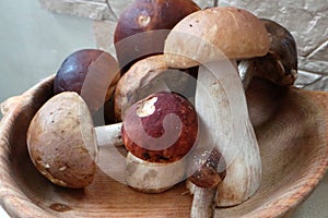 Really edible mushrooms