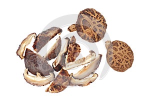 Edible Mushrooms