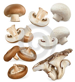 Edible mushrooms. 3d vector icons set