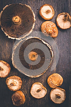 Edible mushrooms Agaricus bisporus - Portobello and shiitake mushrooms