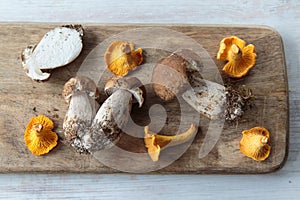 Edible mushrooms