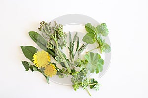 Edible plants collection isolated on white background