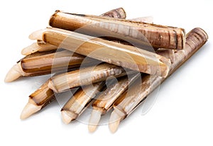 Edible raw razor clams isolated on white background. Delicacy food