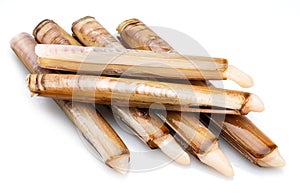 Edible raw razor clams isolated on white background. Delicacy food photo