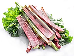 Edible rhubarb stalks on the white background photo