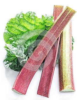 Edible rhubarb stalks on the white background