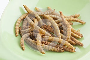 Edible roasted mealworms