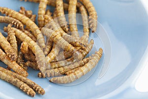Edible roasted mealworms