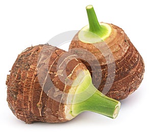 Edible root of colocasia