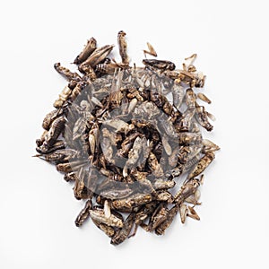 Edible seasoned fried crickets