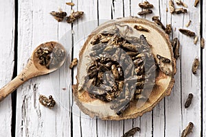 Edible seasoned fried crickets photo