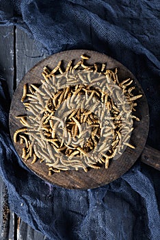 Edible seasoned fried worms