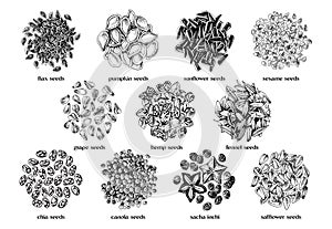 edible seeds hand drawn collection