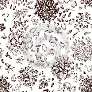 Edible seeds hand drawn seamless pattern