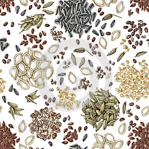 Edible seeds hand drawn seamless pattern
