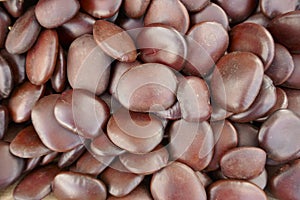 Edible seeds of the Keja plant inga edulis, also called ice cream bean, a climber growing in South America.