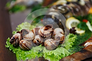 Edible snails cooked and served in haute cuisine restaurant for dinner. Exotic escargot snail baked for wine party