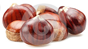 Edible sweet chestnuts isolated on white background