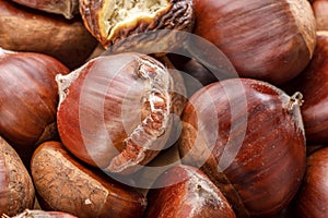 Edible sweet chestnuts with roasted chestnut