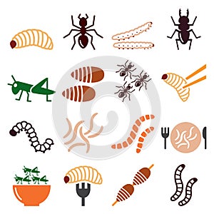 Edible worms and insects vector icons set - alternative source on protein in food