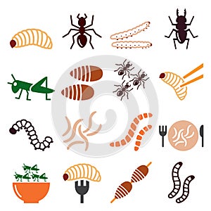 Edible worms and insects vector icons set - alternative source on protein in food photo