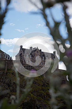 Edinburgh castle, Scotland with thistles in the foreground