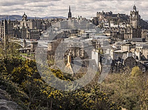 Edinburgh's buildings from Calton Hill