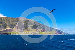 Edinburgh of the Seven Seas, Tristan da Cunha island. 1961Volcano cone. Seagull, cormorant or gannet on foreground.