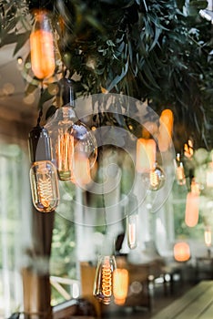 Edison bulbs garland hanging on laces, decorated by green flower branches