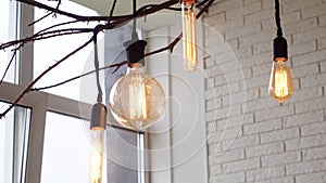 Edison hanging lamps, illuminated. Media. Vintage light bulbs hanging on interior branches of window on background of