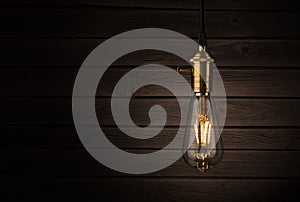 Edison style lightbulb