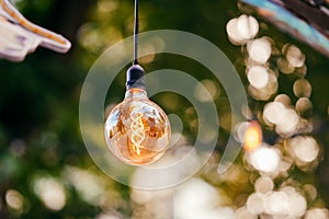 Edisson light bulb lightening and hanging outdoors over green background.