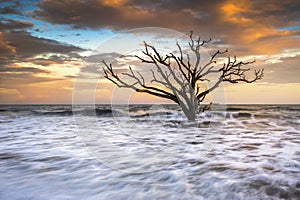 Edisto Island SC Beach sunset landscape Charleston