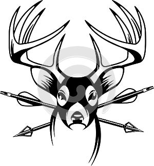 Whitetail deer buck with crossing hunting arrows