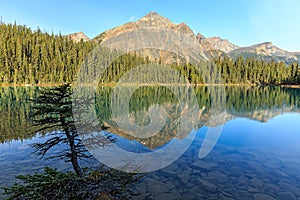 Edith Cavell Lake