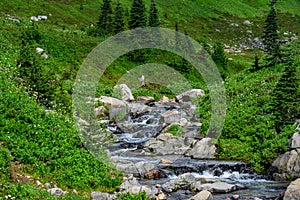 Edith Creek flowing through a valley on the side of Mt Rainier, Paradise area at Mt. Rainier national park