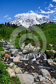 Edith Creek flowing through a valley on the side of Mt Rainier, Paradise area at Mt. Rainier national park