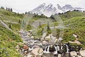 Edith Creek and Mt. Ranier