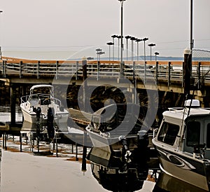 Edmonds Moorage boats 4 photo