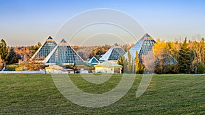 Edmonton landscape with the Muttart Conservatory glass pyramids in fall season