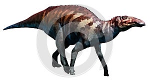 Edmontosaurus