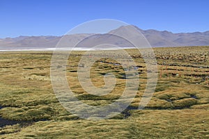 Eduardo Alveroa, Uyuni Bolivia photo