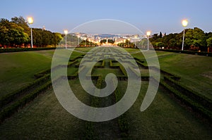 Eduardo VII Park, Lisbon in the night photo