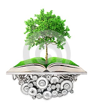 Education concept. Tree of knowledge grows from photo