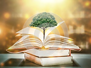 Education concept with tree of knowledge planting on opening old big book in library with textbook, stack piles of text archive an