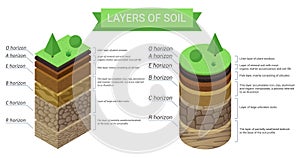 Education isometric diagram and detailed description of soil layers. Plant residue, green grass, fine mineral particles