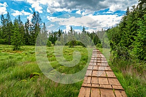 Education trail through bogland in Slana voda, Slovakia