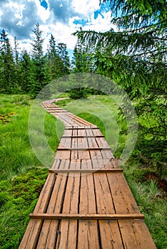 Education trail through bogland in Slana voda, Slovakia