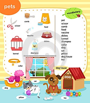 Education vocabulary pets